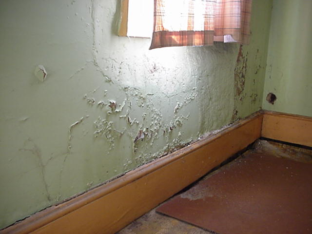 rising-damp.jpg